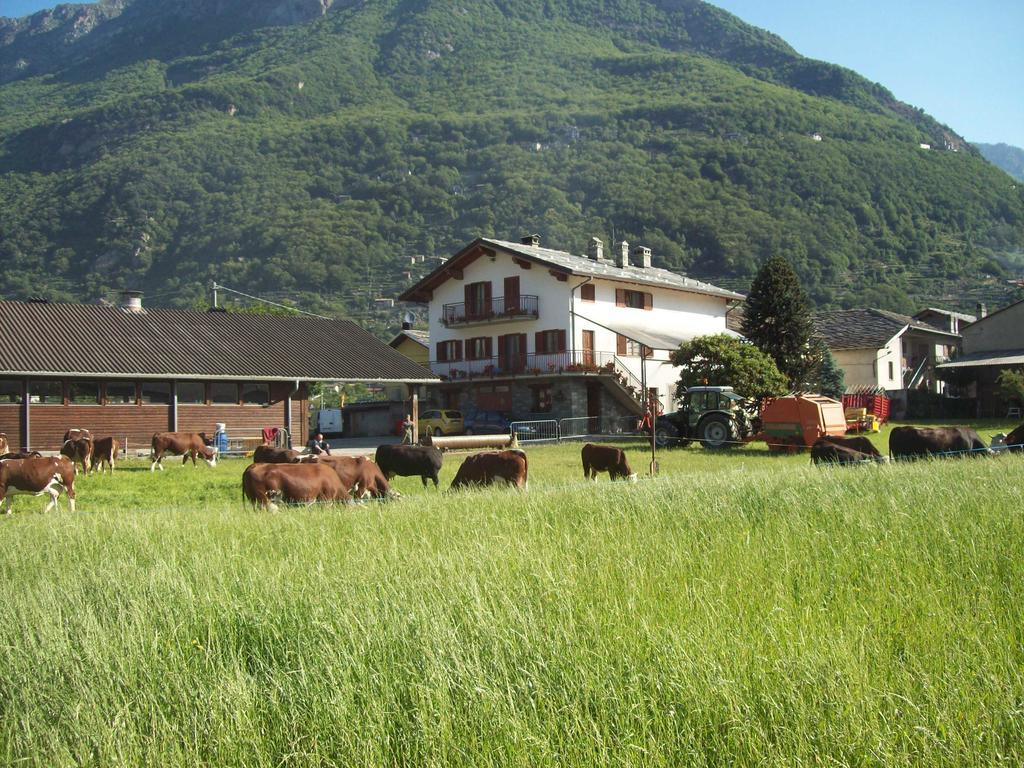 Agriturismo La Grange Pont-Saint-Martin Exterior foto